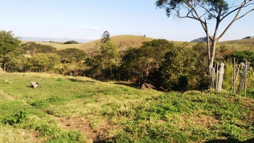Terreno à venda - Foto 7
