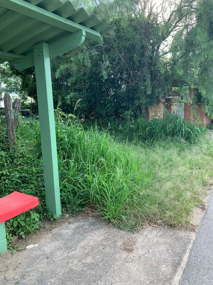 Terreno à venda, 20015m² - Foto 2