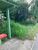 Terreno, 2 hectares - Foto 2