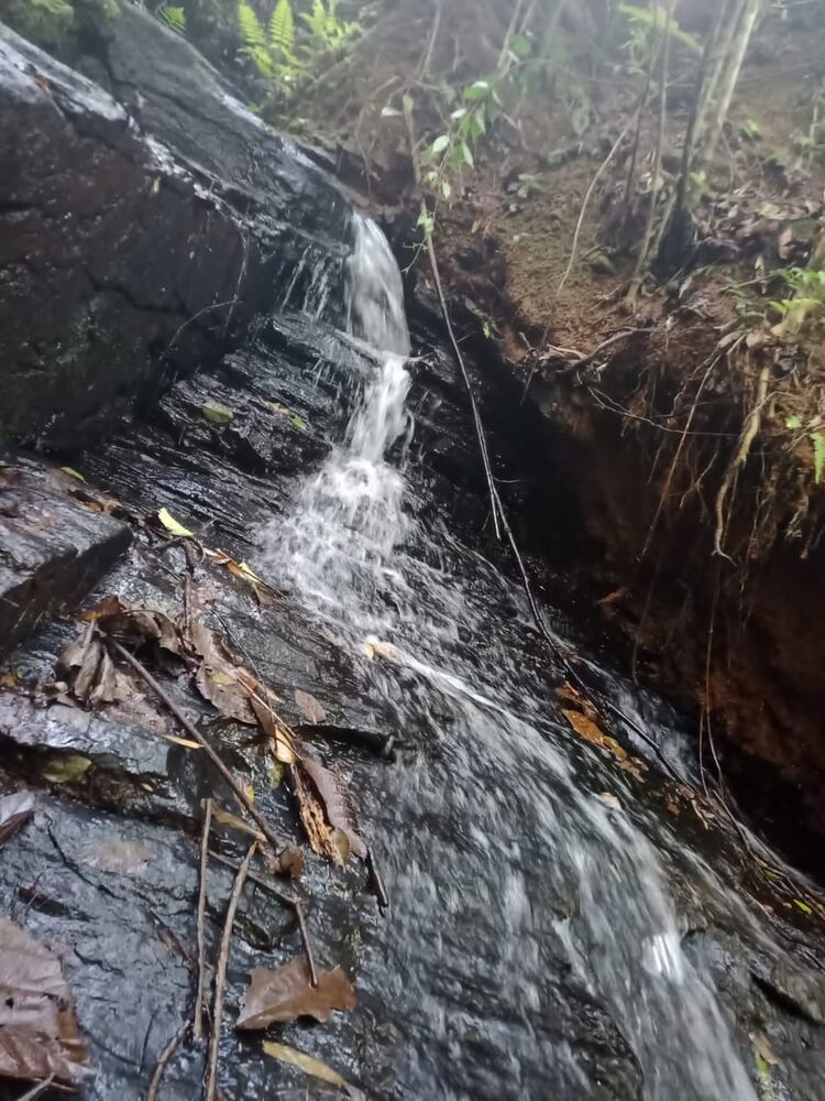 Sítio, 1 quarto, 22 hectares - Foto 19