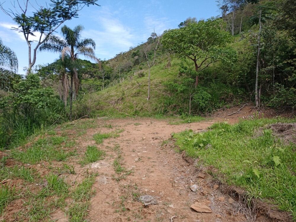 Sítio, 1 quarto, 22 hectares - Foto 17