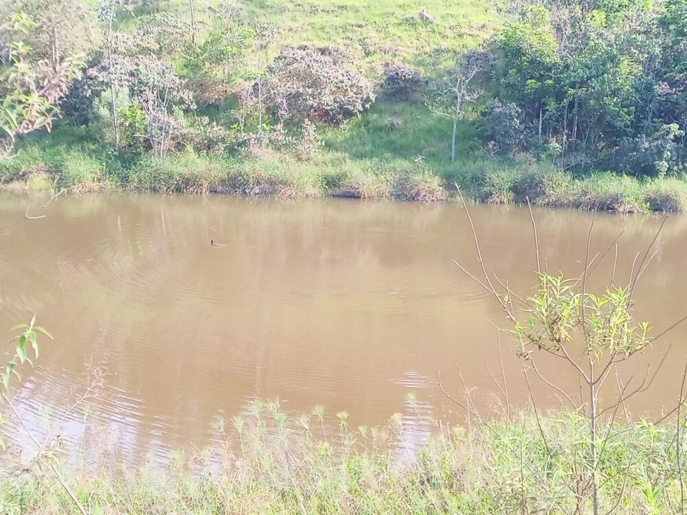 Sítio, 1 quarto, 22 hectares - Foto 16