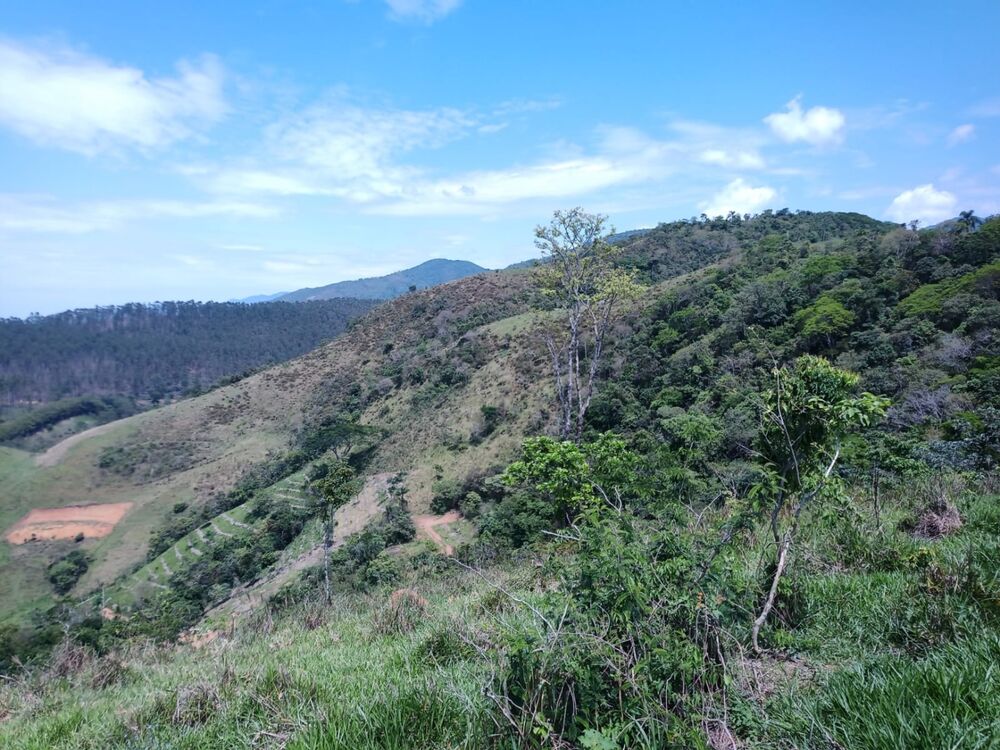 Sítio, 1 quarto, 22 hectares - Foto 30