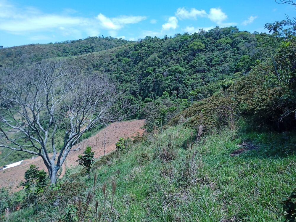 Sítio, 1 quarto, 22 hectares - Foto 28