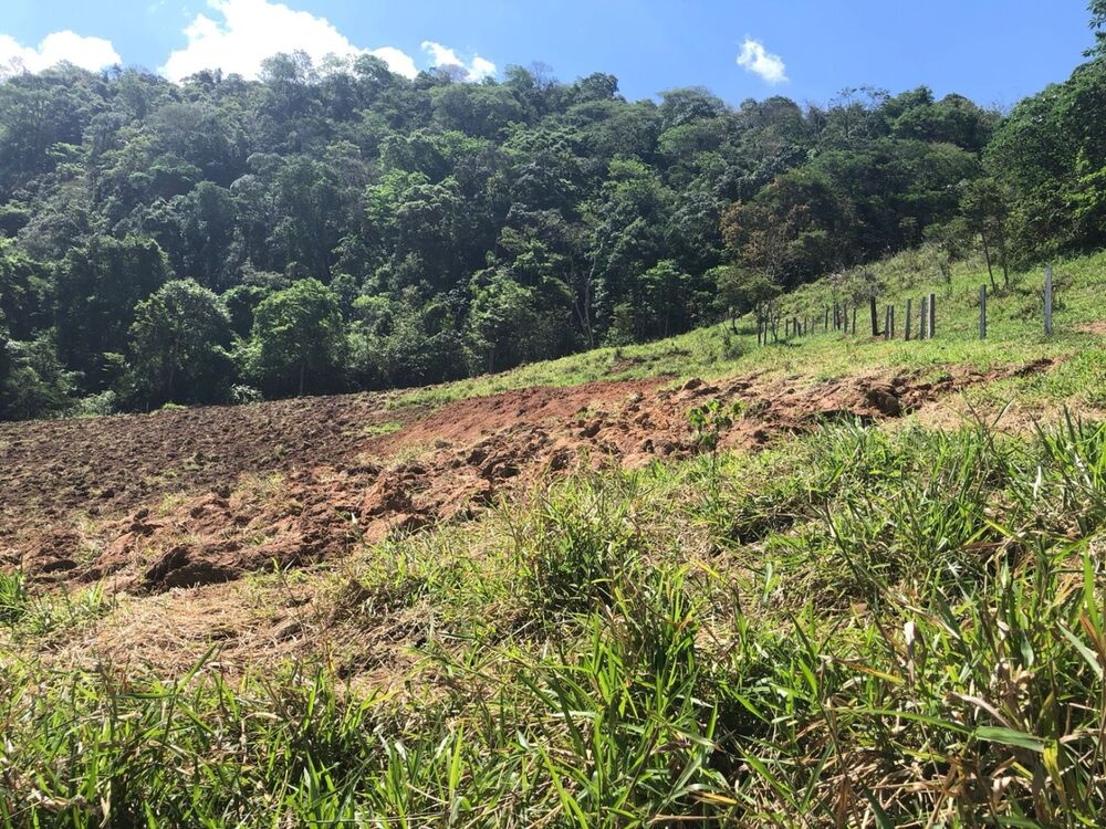 Sítio, 1 quarto, 22 hectares - Foto 15