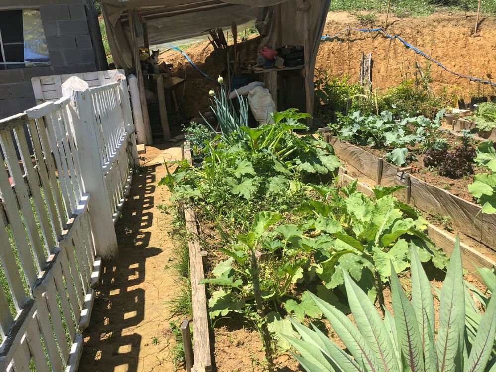 Sítio, 1 quarto, 22 hectares - Foto 5