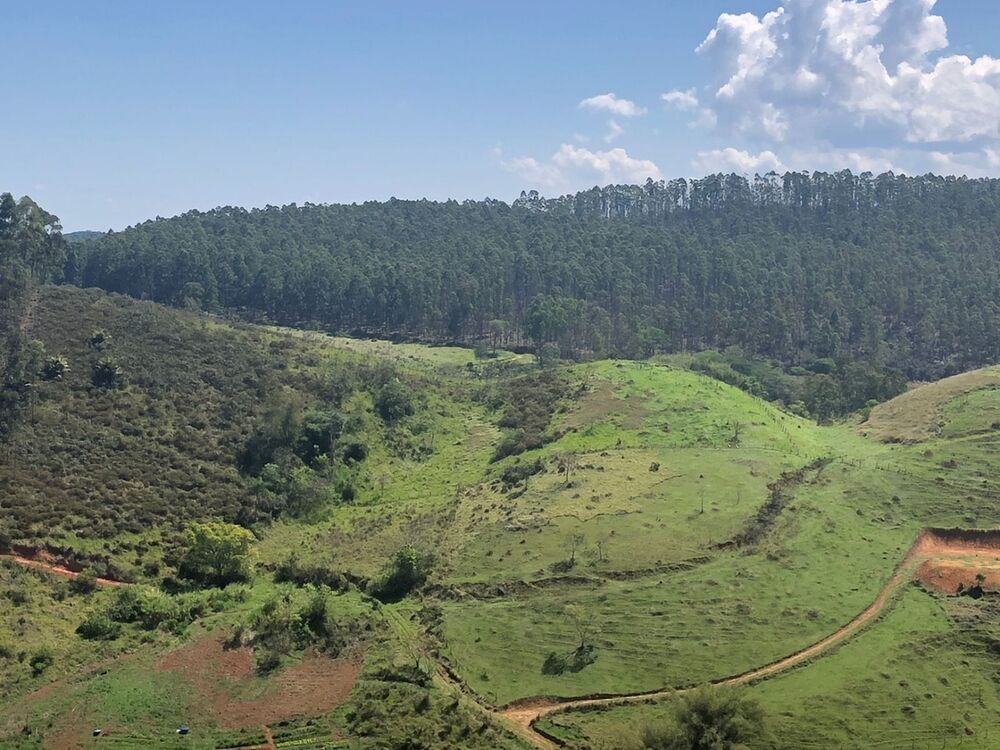 Sítio, 1 quarto, 22 hectares - Foto 11