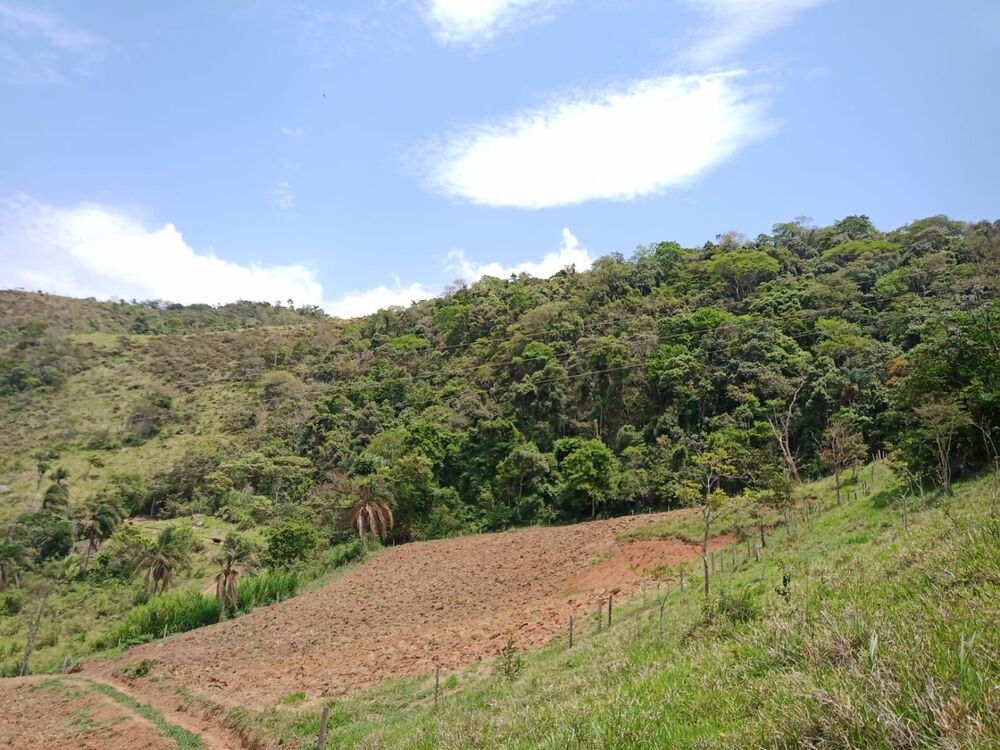 Sítio, 1 quarto, 22 hectares - Foto 29