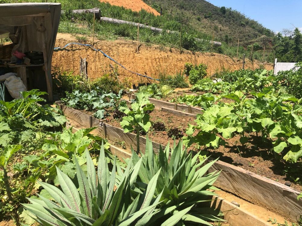 Sítio, 1 quarto, 22 hectares - Foto 4