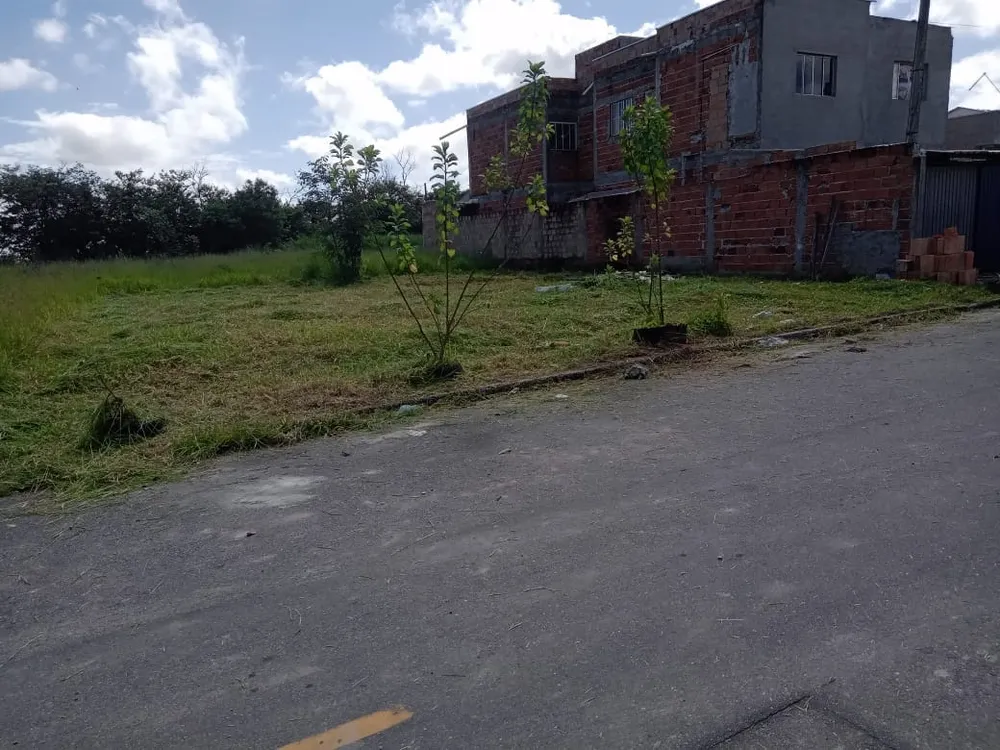 Terreno - Foto 1
