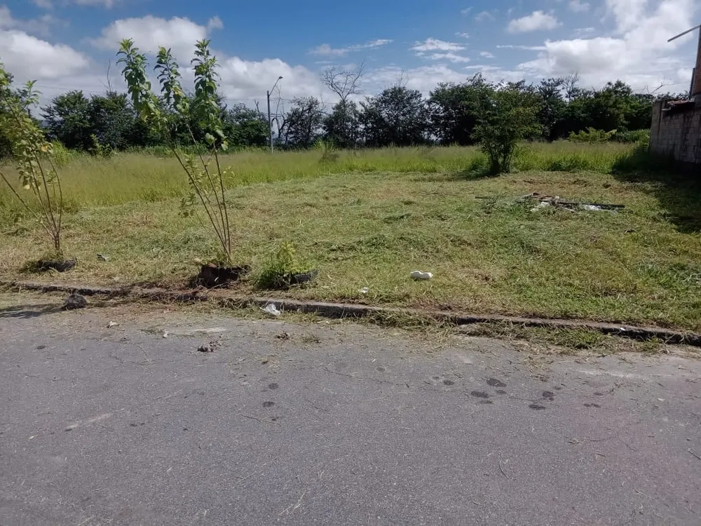 Terreno - Foto 2