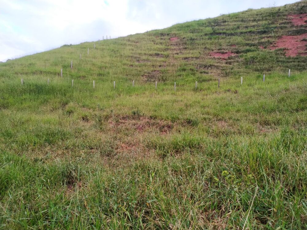 Terreno à venda, 30000m² - Foto 7