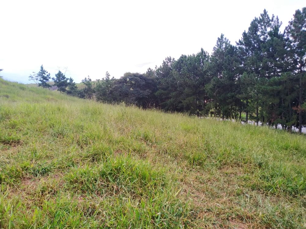 Terreno à venda, 30000m² - Foto 8