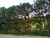 Terreno, 3 hectares - Foto 4