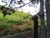 Terreno, 3 hectares - Foto 2