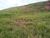 Terreno, 3 hectares - Foto 7