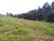 Terreno, 3 hectares - Foto 8