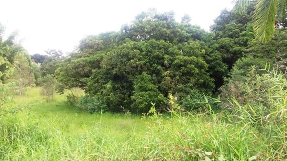 Terreno, 5200 m² - Foto 2