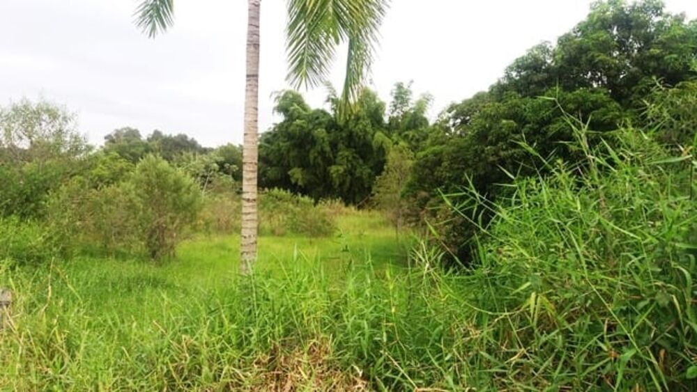 Terreno, 5200 m² - Foto 4