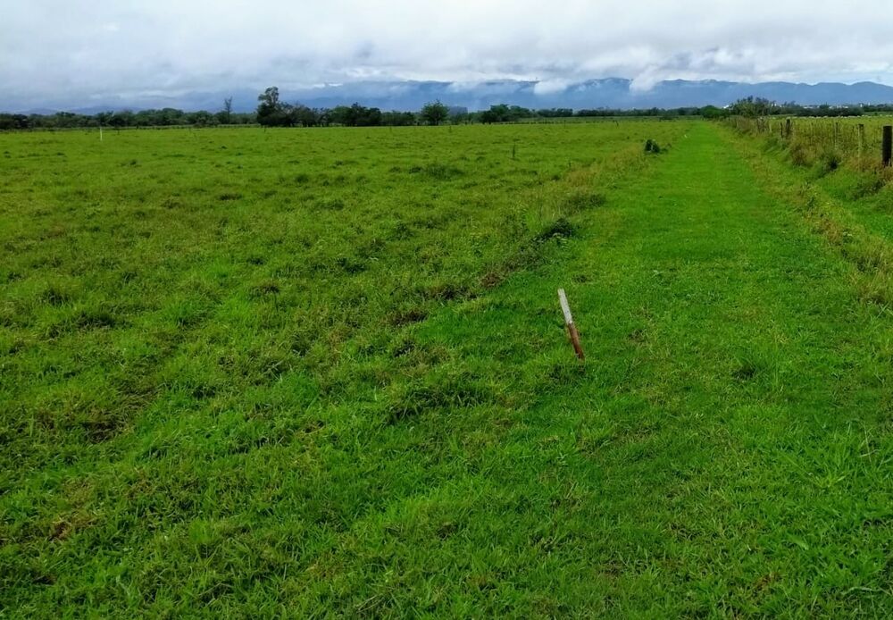 Terreno, 2 hectares - Foto 2