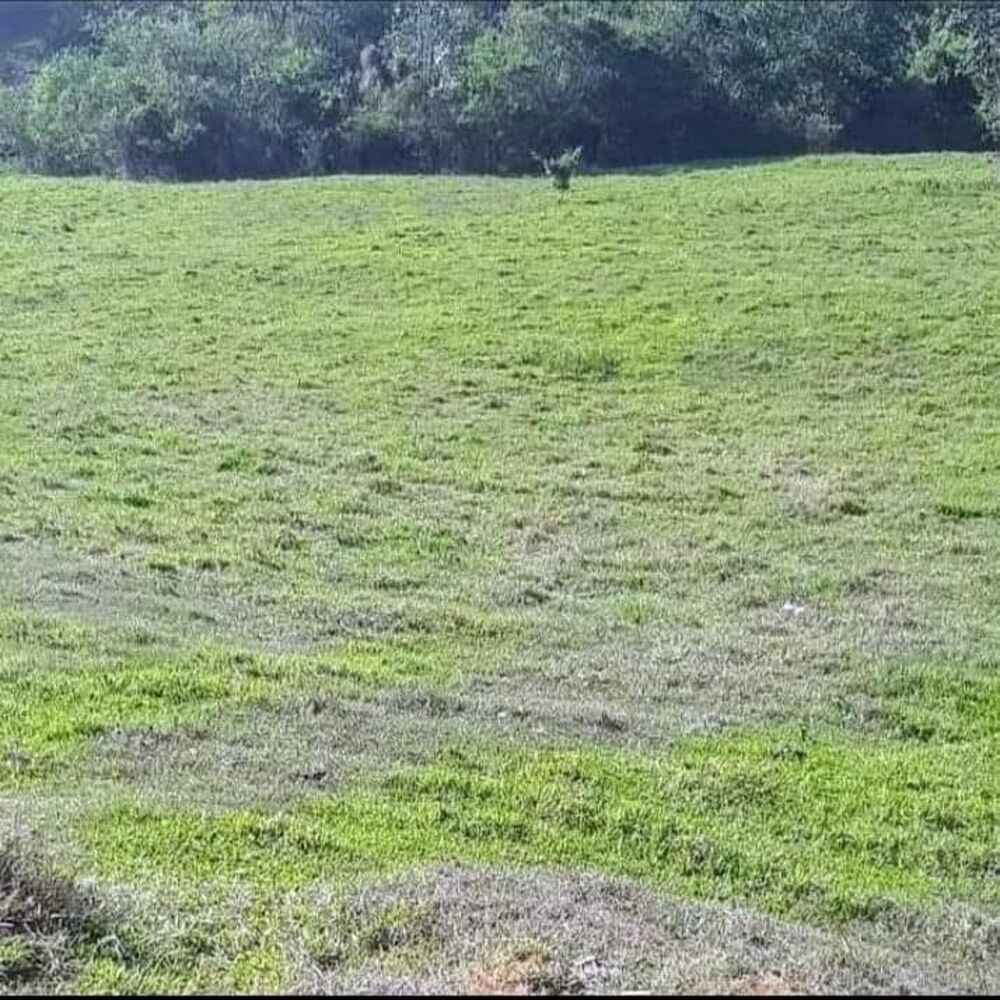 Terreno, 3 hectares - Foto 1