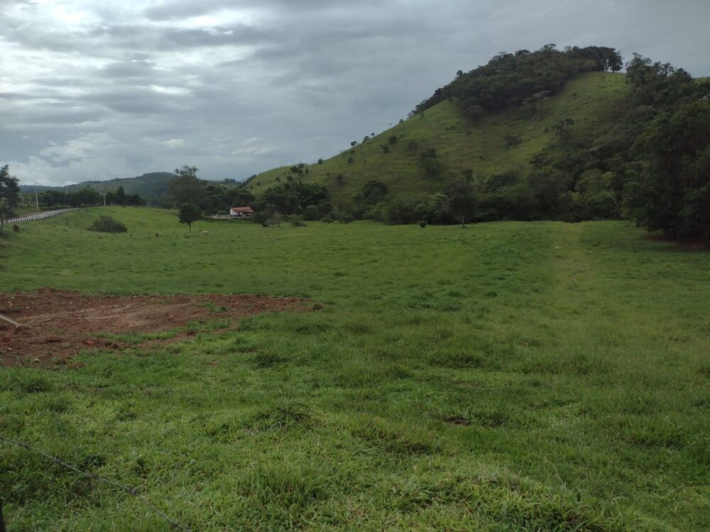 Terreno, 3 hectares - Foto 3