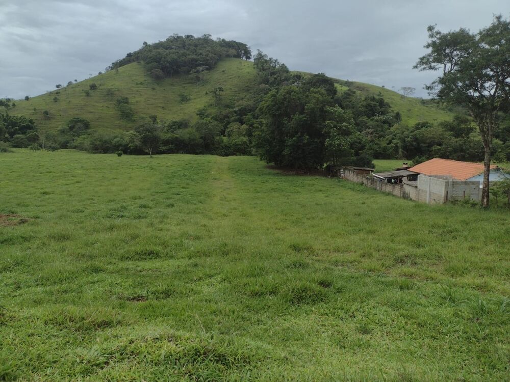 Terreno, 3 hectares - Foto 4