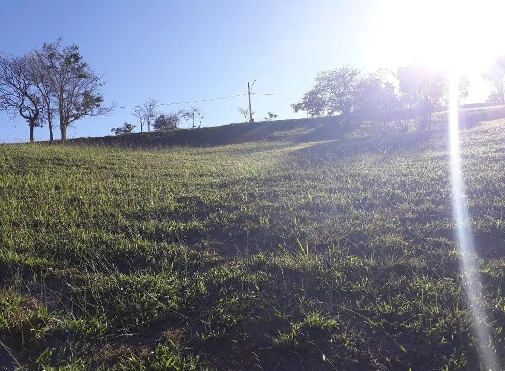 Terreno - Foto 2