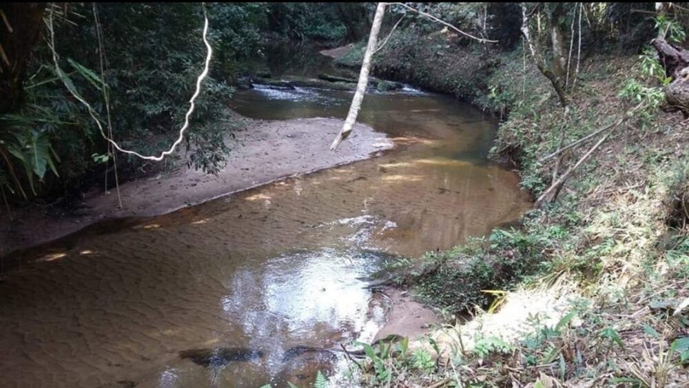 Sítio, 4 quartos, 145 hectares - Foto 10