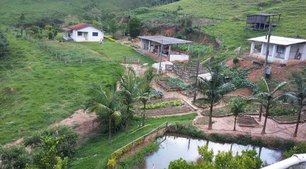 Sítio, 4 quartos, 145 hectares - Foto 2