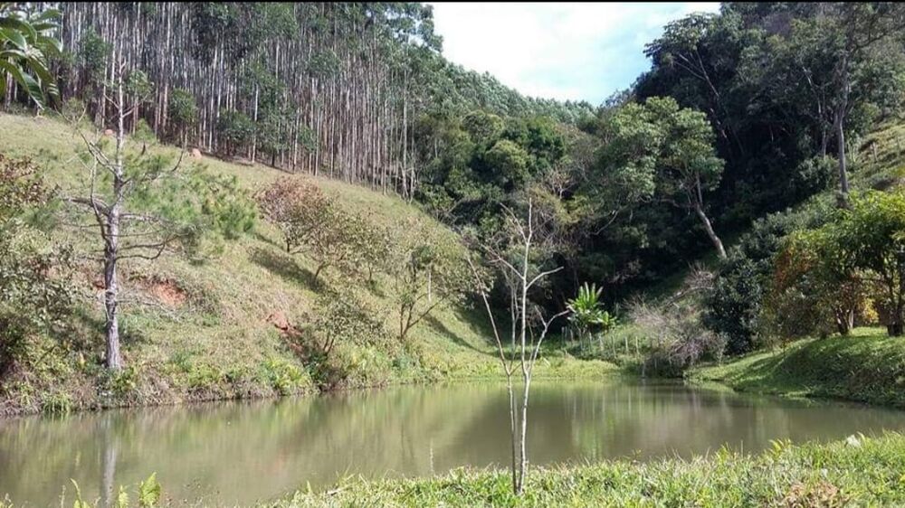 Sítio, 4 quartos, 145 hectares - Foto 3