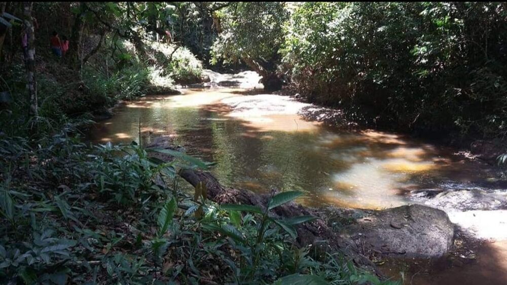 Sítio, 4 quartos, 145 hectares - Foto 12