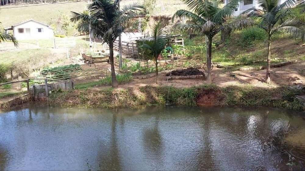 Sítio, 4 quartos, 145 hectares - Foto 5