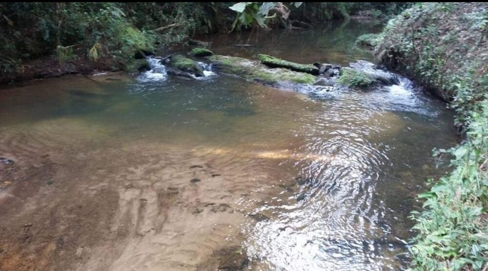 Sítio, 4 quartos, 145 hectares - Foto 7