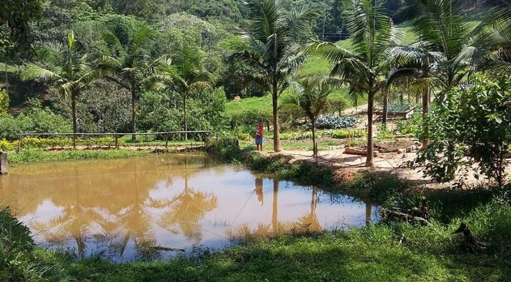 Sítio, 4 quartos, 145 hectares - Foto 6