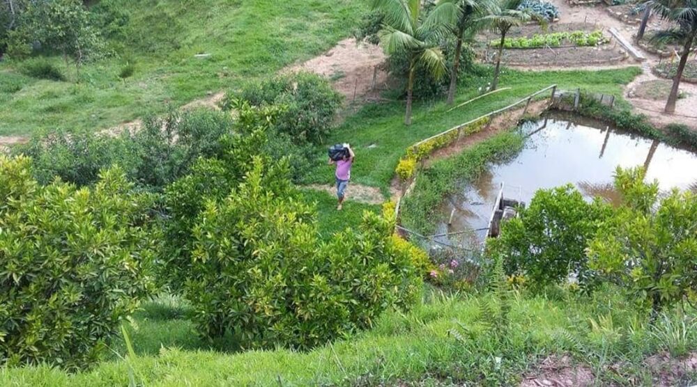 Sítio, 4 quartos, 145 hectares - Foto 14