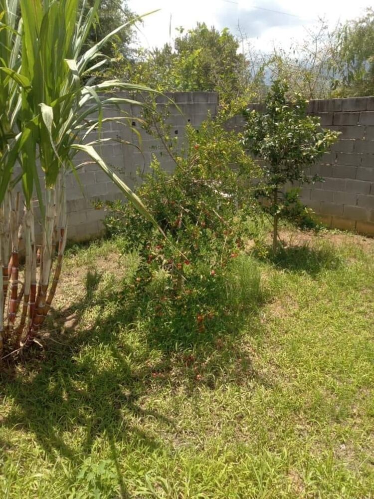 Chácara, 2 quartos, 630 m² - Foto 3