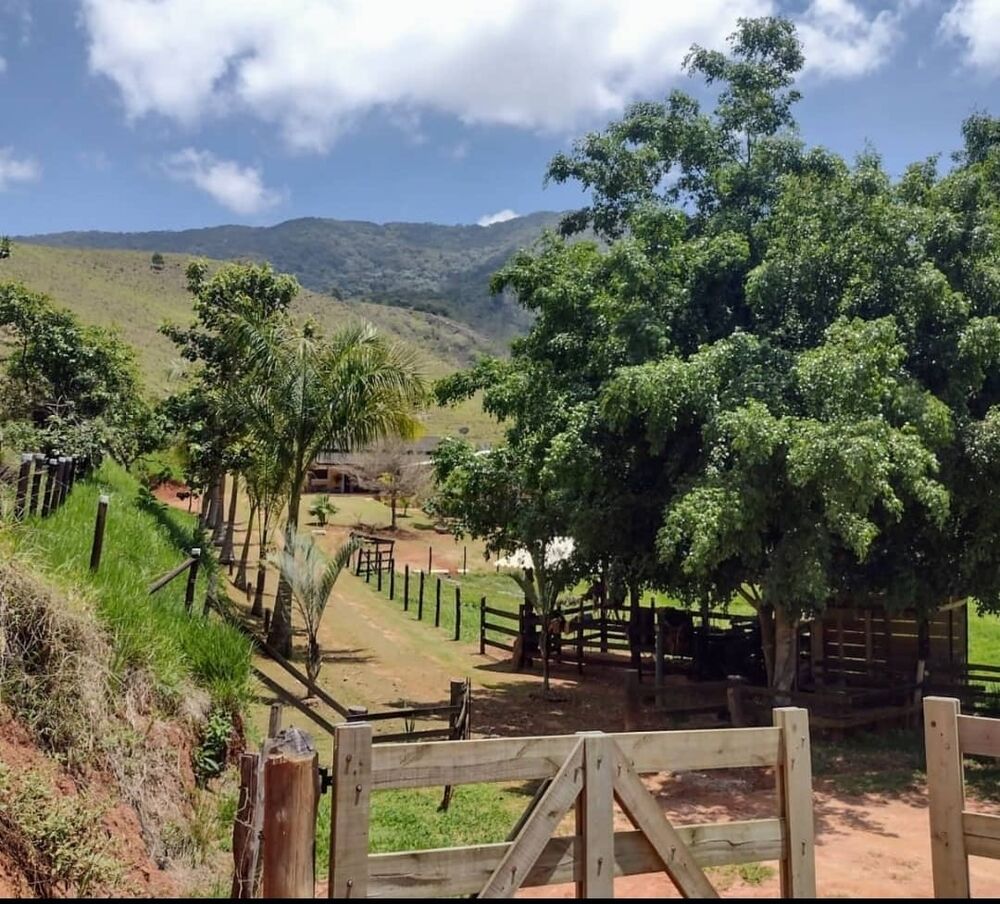 Sítio, 3 quartos, 14 hectares - Foto 8