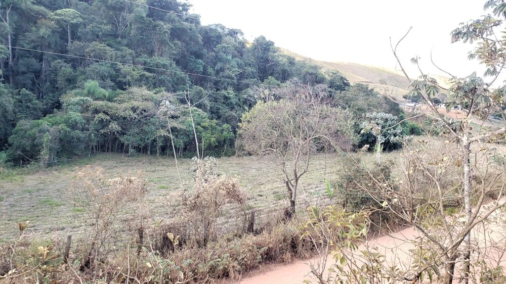 Terreno, 3 hectares - Foto 6