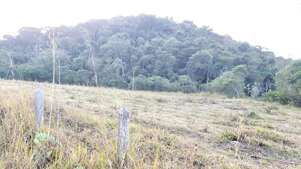 Terreno, 3 hectares - Foto 1
