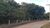 Terreno, 3 hectares - Foto 2