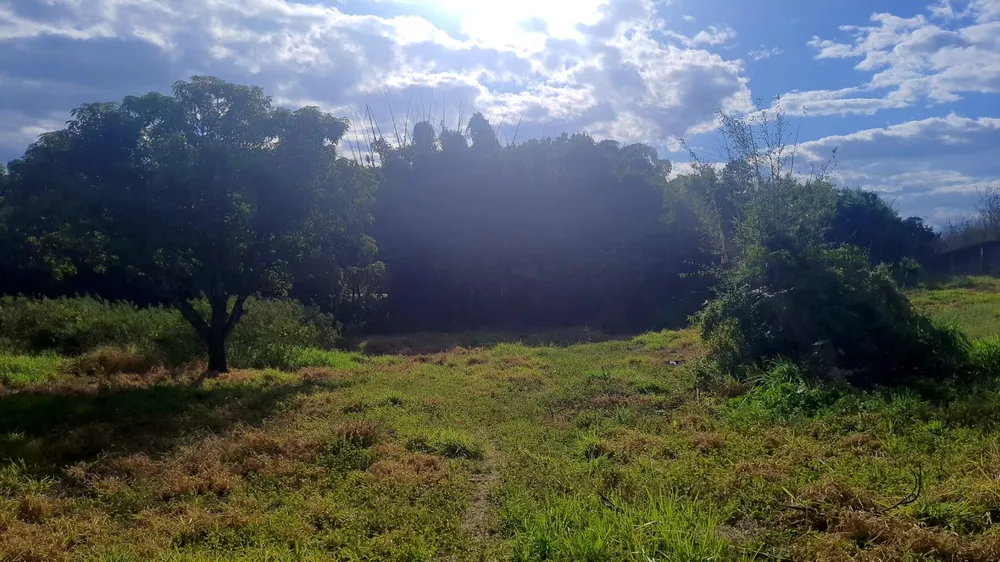 Terreno, 8500 m² - Foto 2