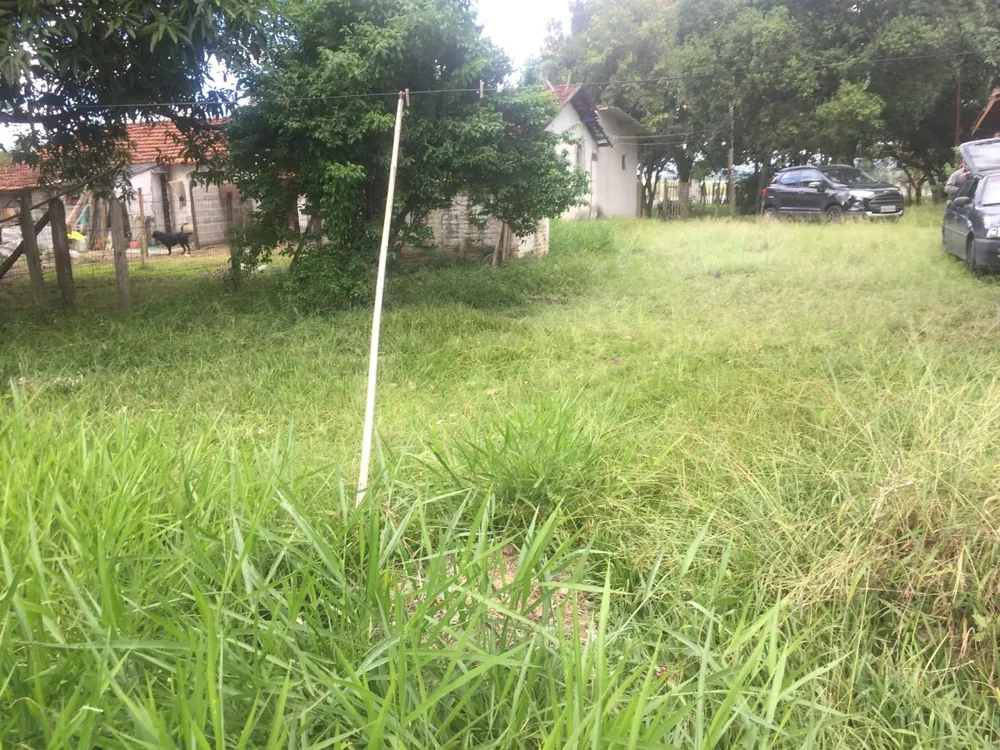 Chácara, 4 quartos, 3100 m² - Foto 4