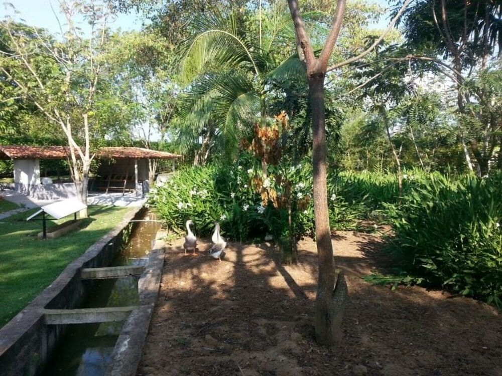 Sítio à venda com 3 quartos, 300m² - Foto 3