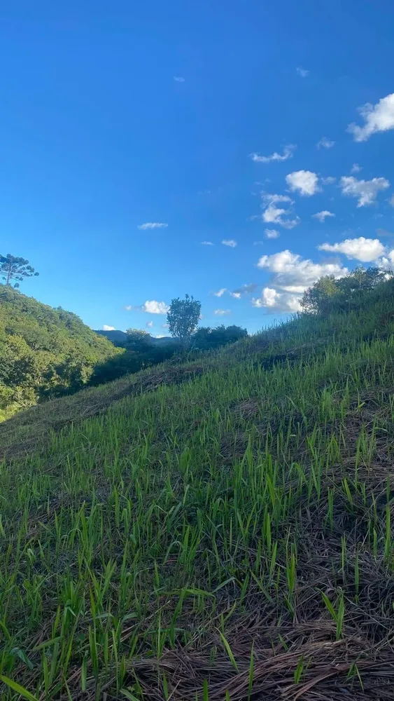 Terreno, 1002 m² - Foto 4