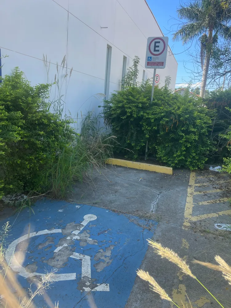 Loja-Salão, 300 m² - Foto 4