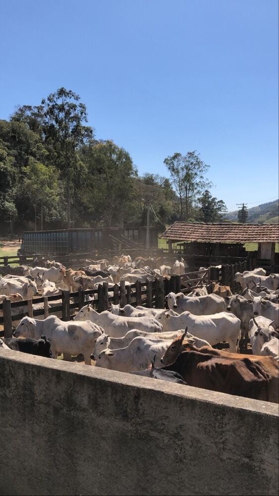 Fazenda à venda com 3 quartos, 4840000m² - Foto 5