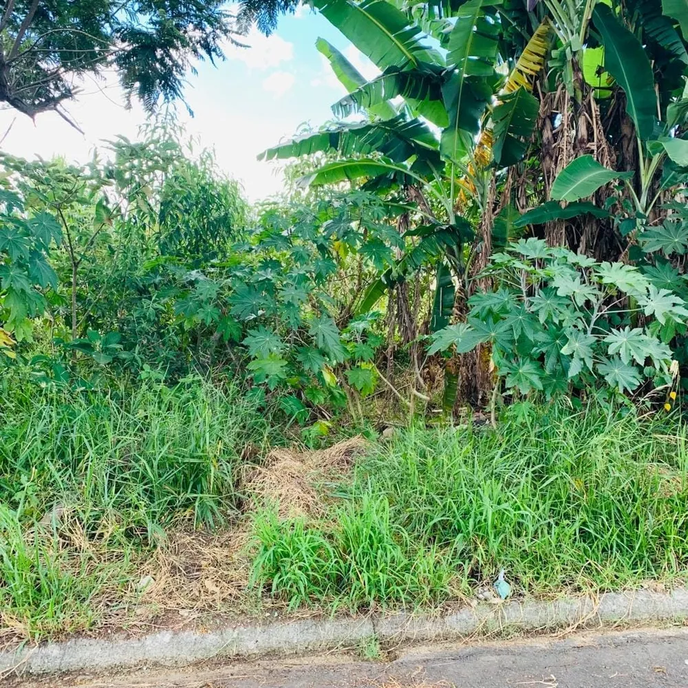 Terreno, 250 m² - Foto 3
