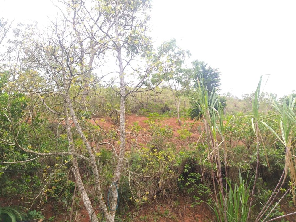 Chácara, 2 quartos, 6000 m² - Foto 7