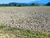 Terreno, 3 hectares - Foto 2